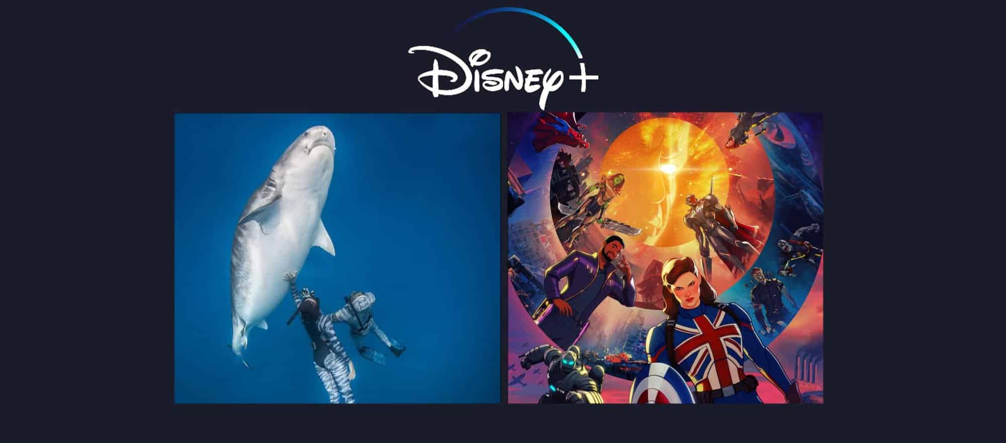 Disney Plus: lançamentos da semana (25 a 31 de outubro)