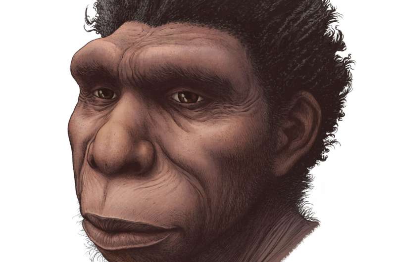 Ilustração digital mostra o Homo bodoensis em sua fisionomia facial