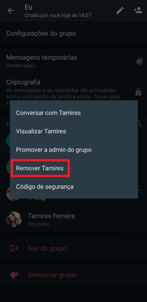 Print do aplicativo do WhatsApp