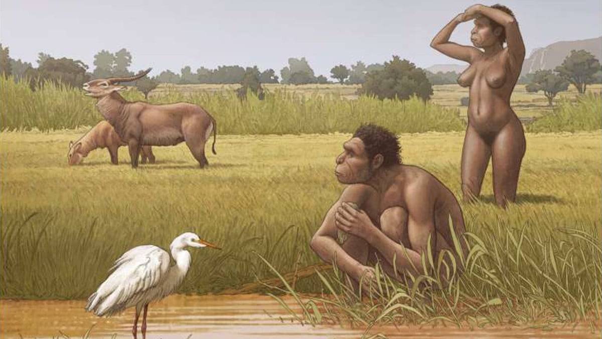 homo-bodoensis-capa