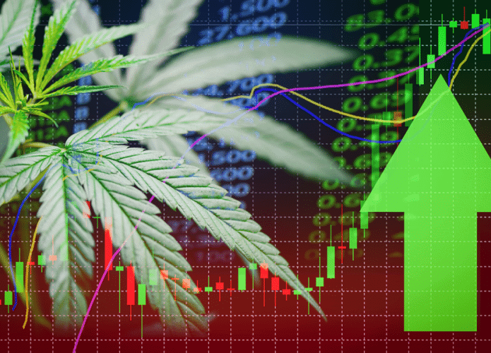 mercado-cannabis-maconha-695x500.png