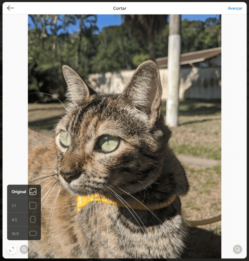 Como postar fotos e vídeos no Instagram pelo PC, passo 03