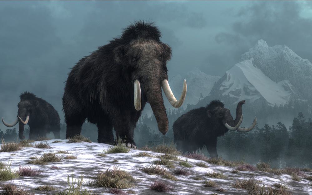 Imagem mostra dois mamutes caminhando na neve
