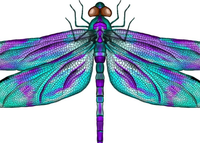 shutterstock_1903709437-695x500