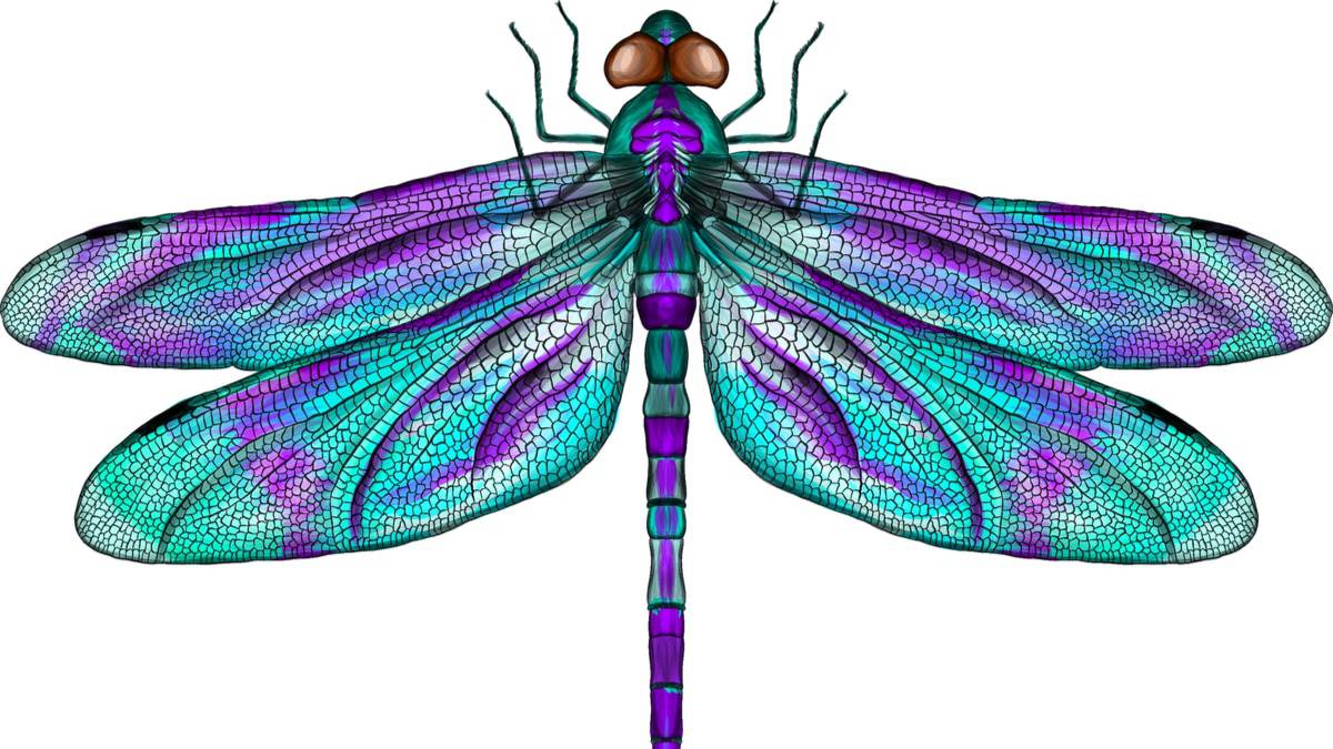 shutterstock_1903709437