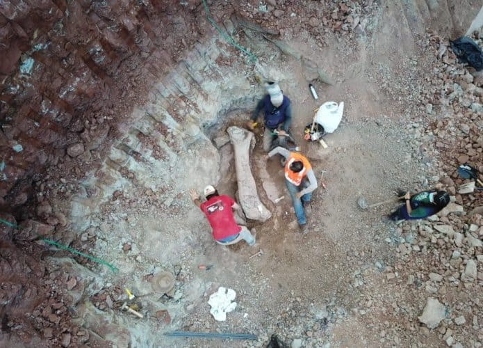 Achado-paleontologico_Brado_4-695x500