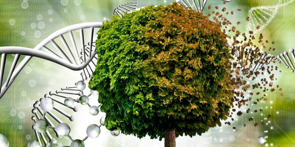 DNA-Arvore