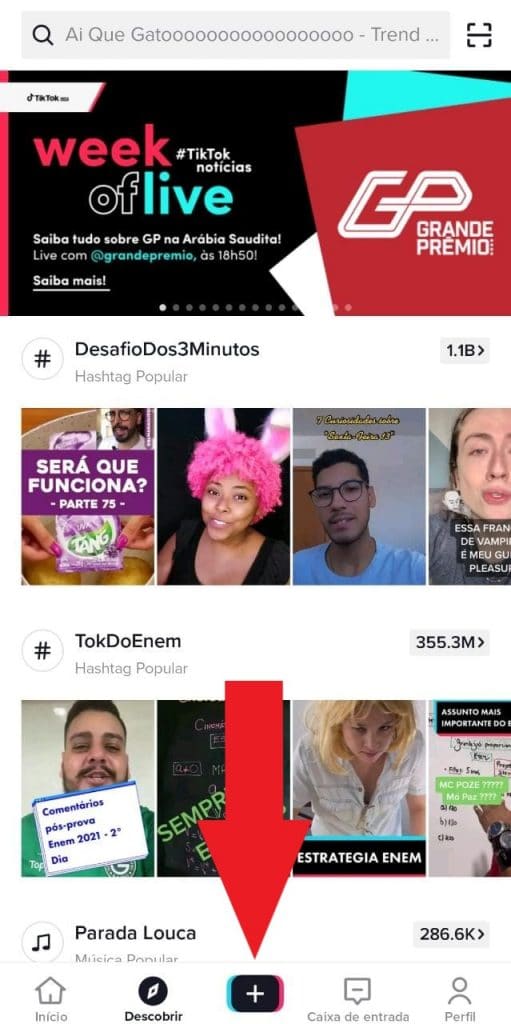 Print do aplicativo do TikTok