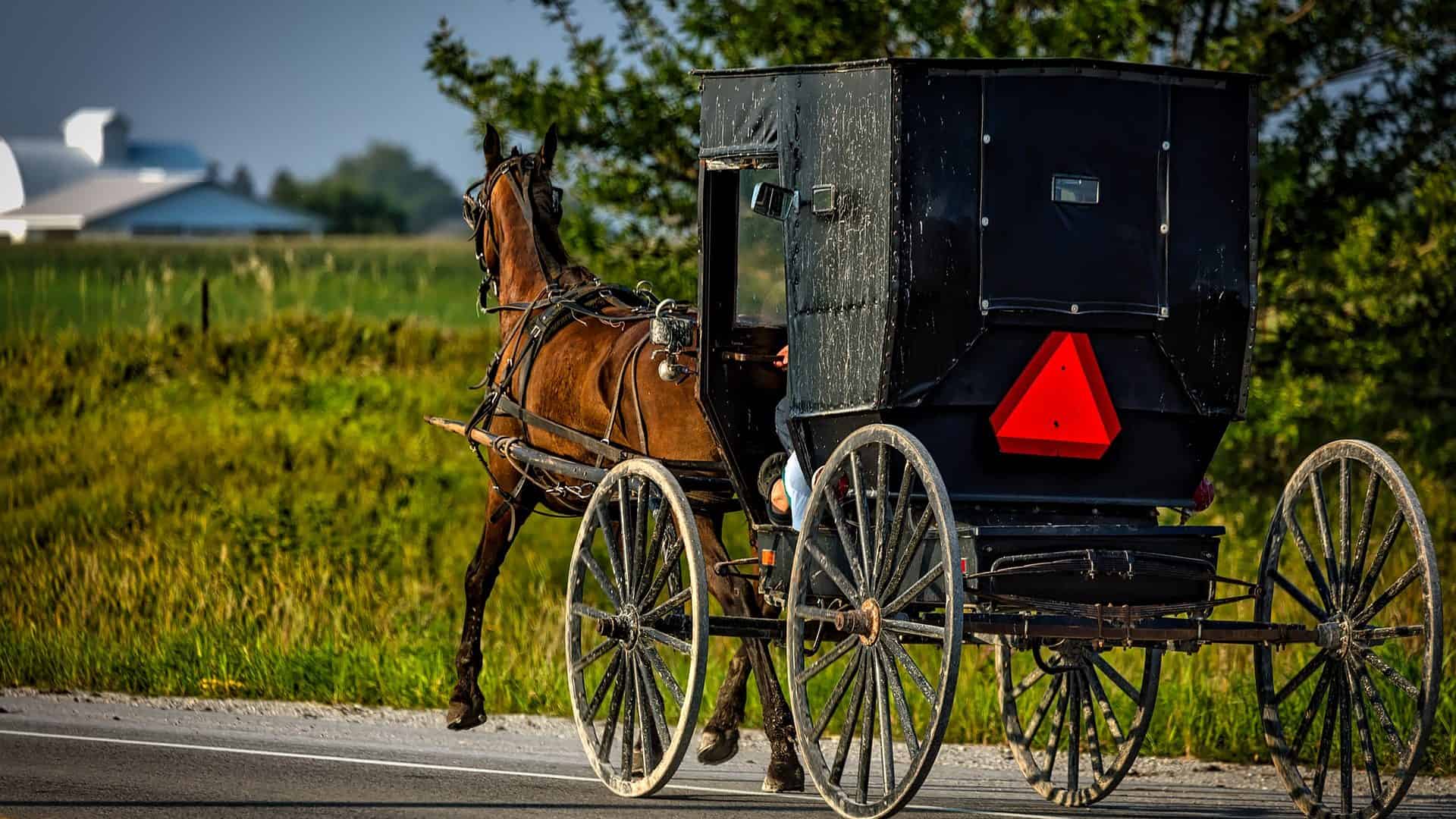 carroça Amish