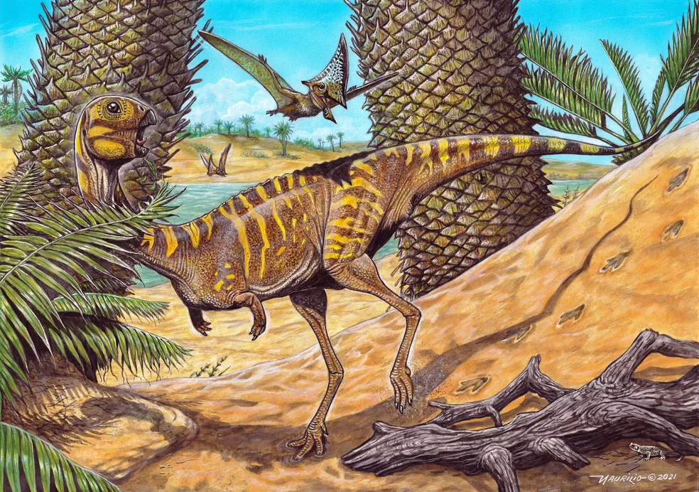 Ilustração mostra visual do dinossauro brasileiro Berthasaura Leopoldinae