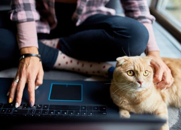 São Paulo terá documento digital para pets
