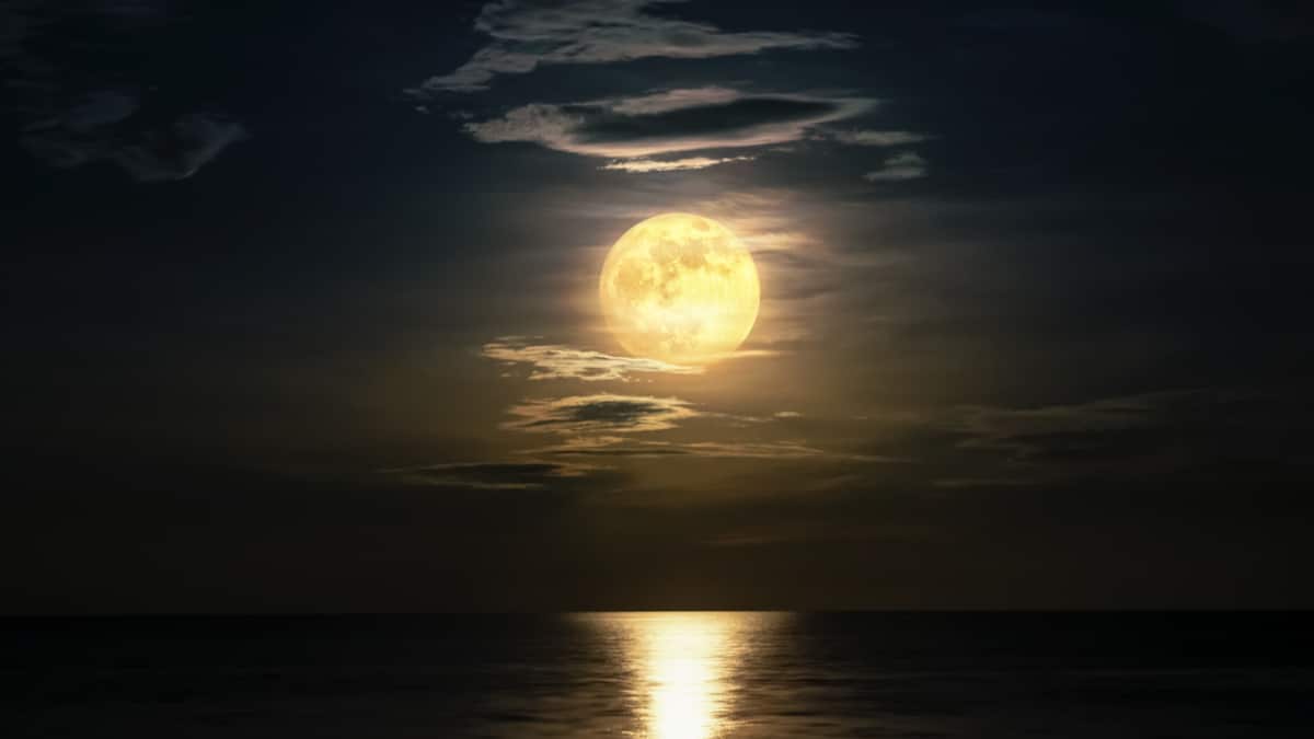 shutterstock_1503538250
