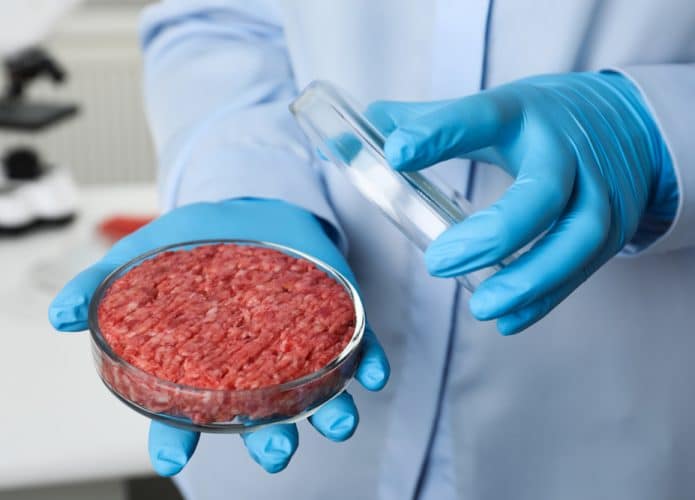 Cientista segurando uma placa com carne moída cultivada