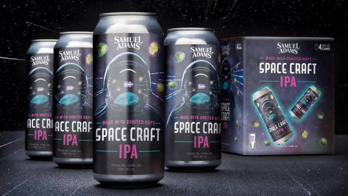 space-craft-ipa-capa1