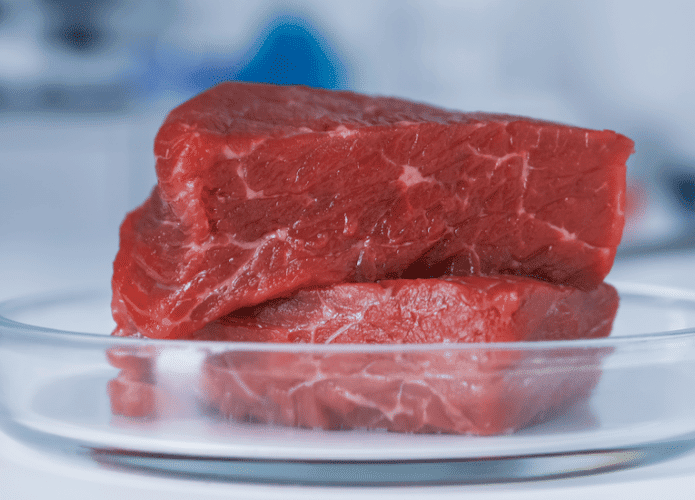 Pedaços de carne em uma travessa