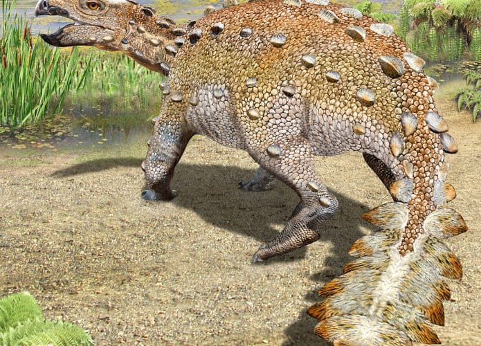 dinossauro-Stegouros-695x500