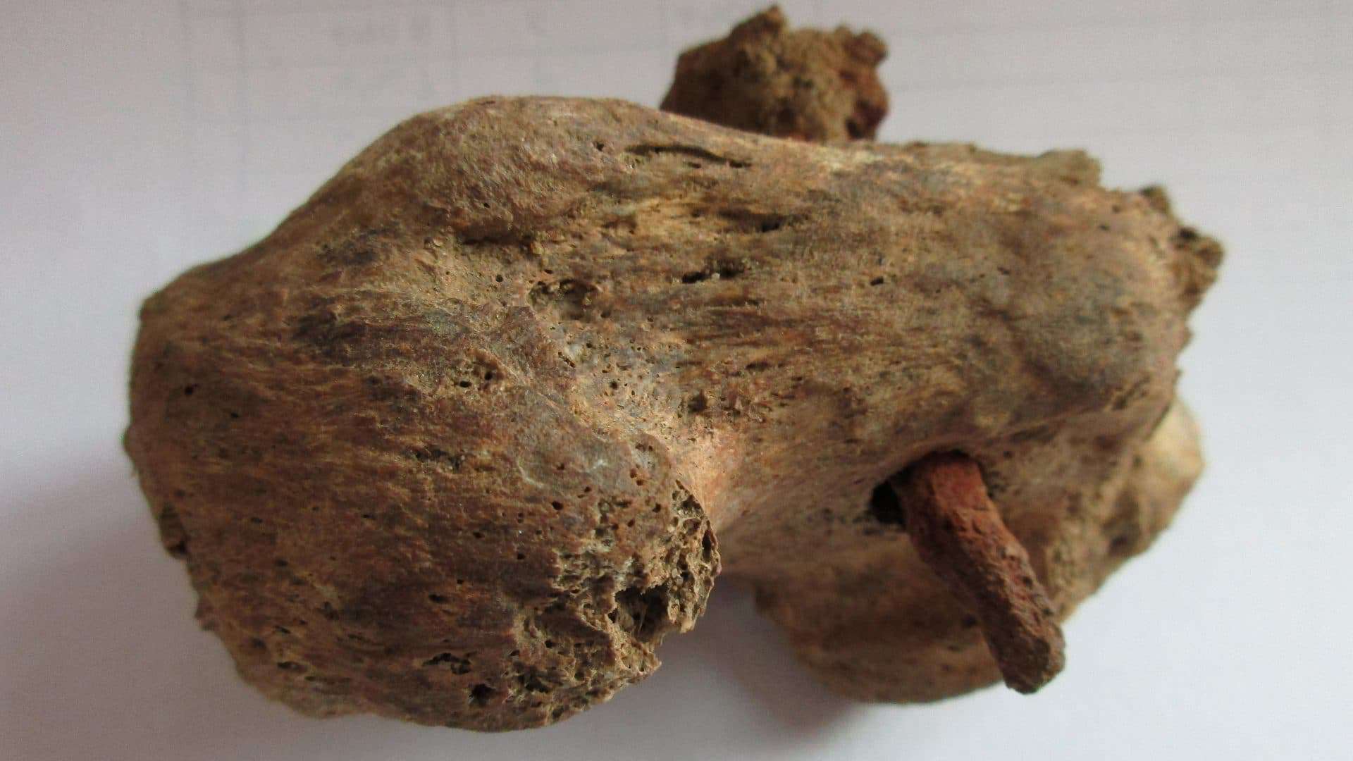 fossil-crucificacao-capa-e-interna-1920x1080