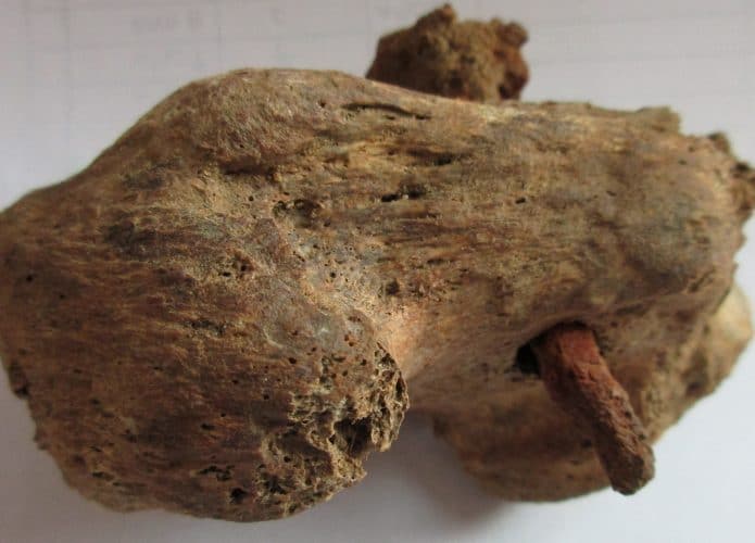 fossil-crucificacao-capa-e-interna-695x500