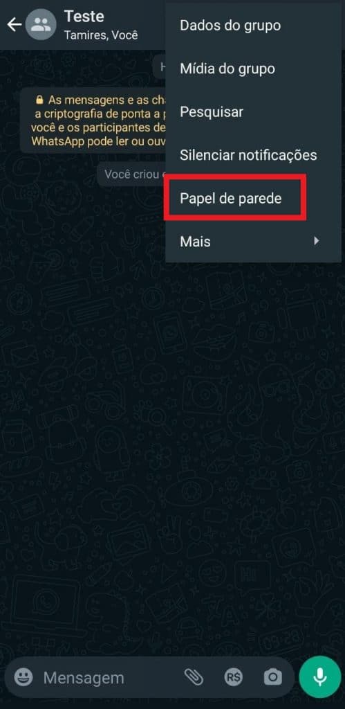 Print do aplicativo do WhatsApp em celular android