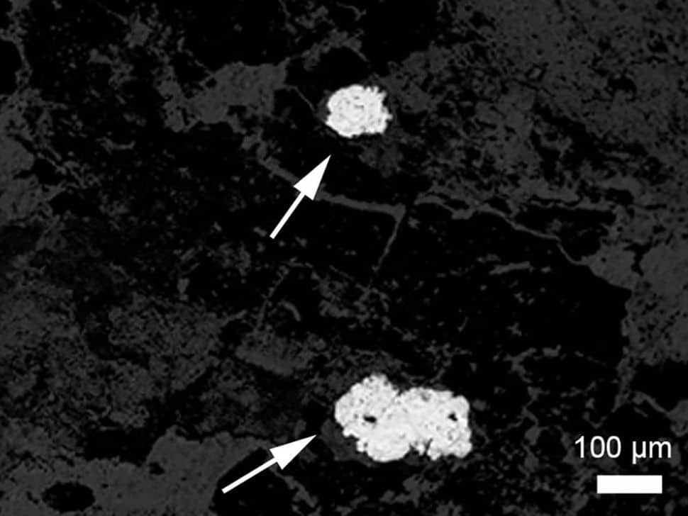 Micrografia de microscopia eletrônica de varredura de dois acúmulos menores de prata em um coprólito