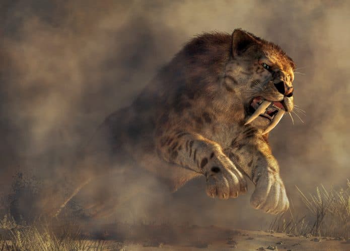 shutterstock_1154404867-695x500