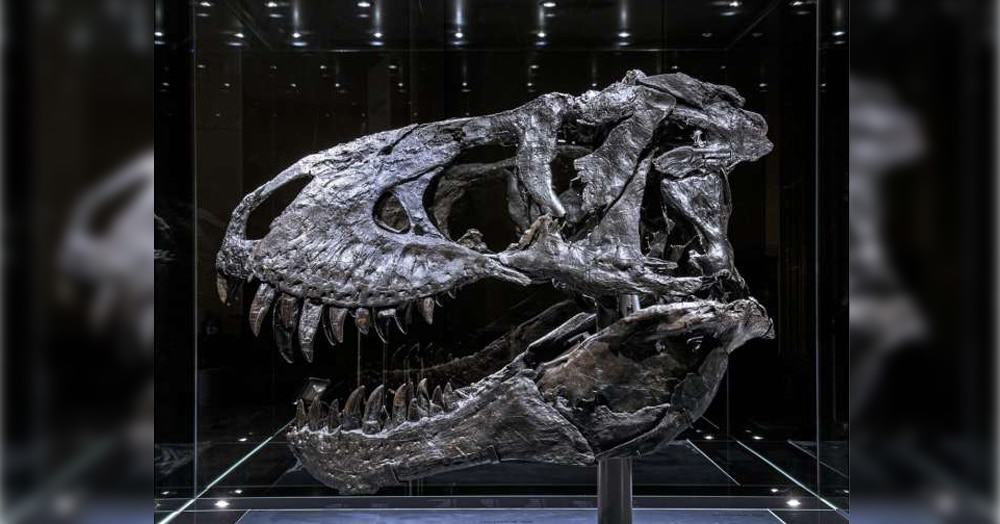 tiranossauro-rex-Tristan-Otto