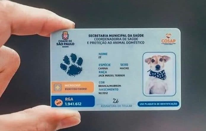 Rg cães e gatos SP