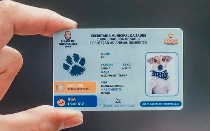 Rg cães e gatos SP