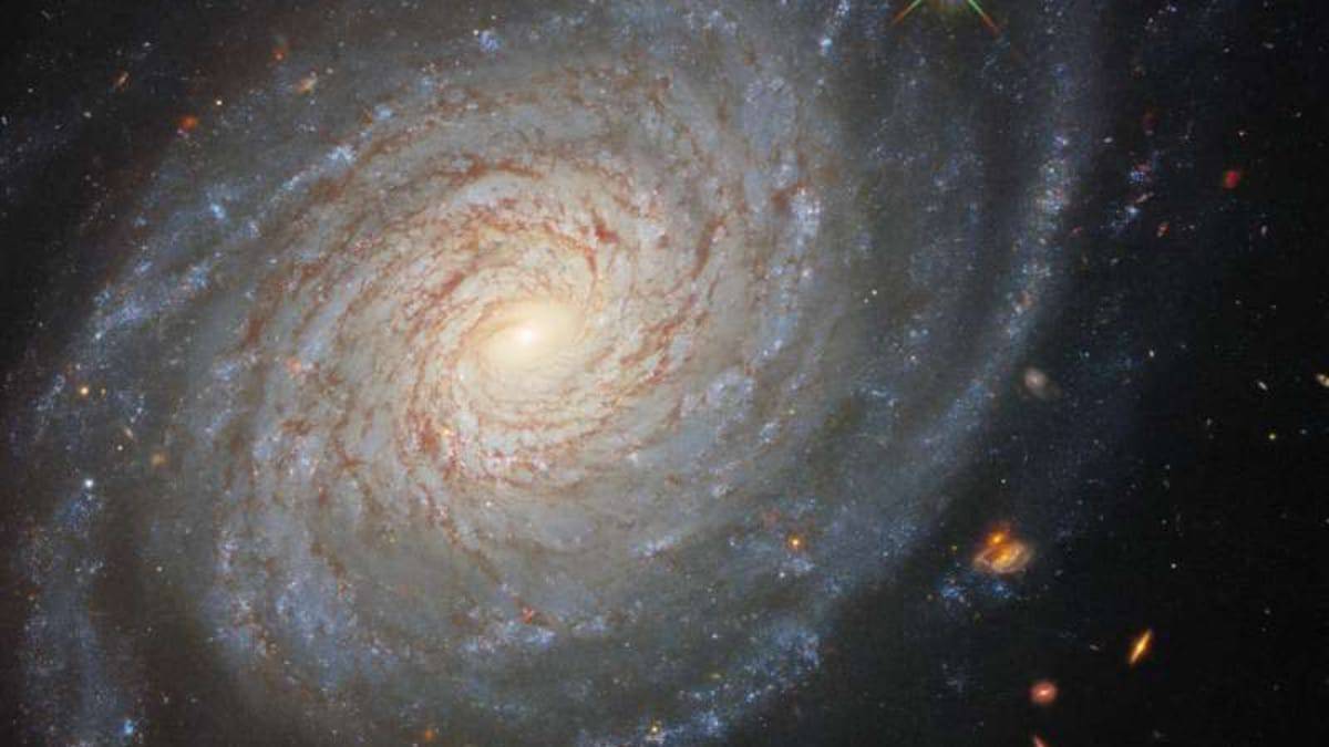 galaxia-ngc-976-capa