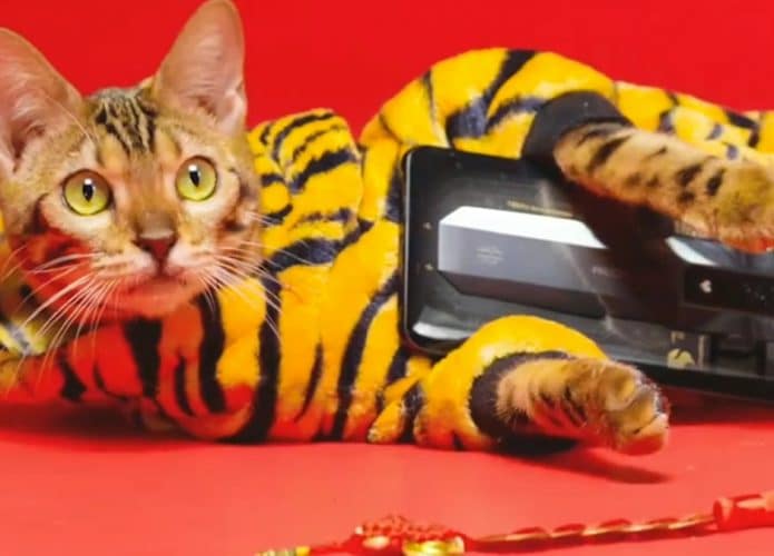 Imagem do video teaser revela traseira do Nubia Red Magic 7