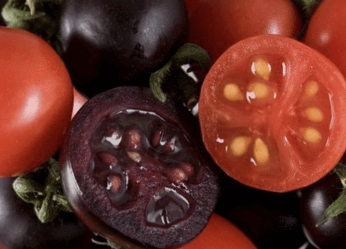 tomate
