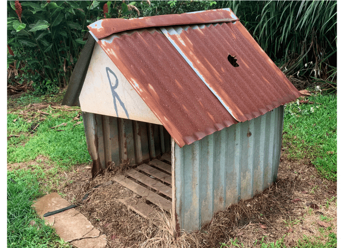 casinha-cao-meteoro-capa-695x500.png