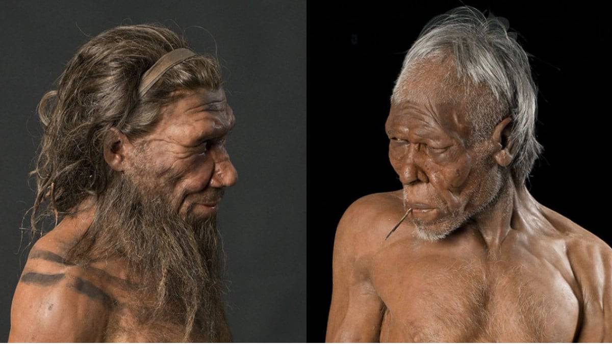 homem-moderno-neandertais-capa