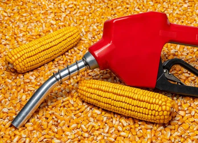 Bico de abastecimento de combustível em meio ao milho, ilustrando o etanol que é misturado à gasolina nos EUA