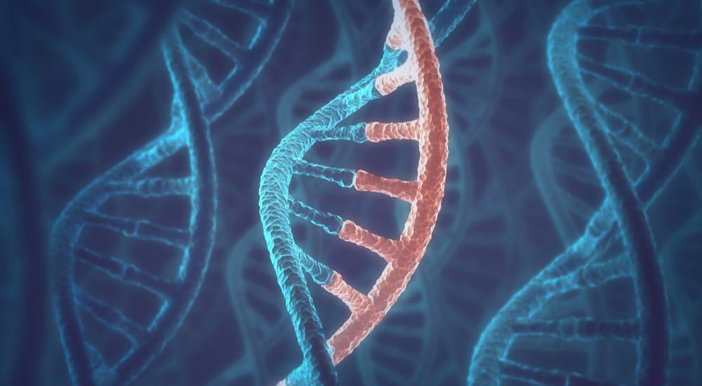 moleculas-de-DNA-e-RNA