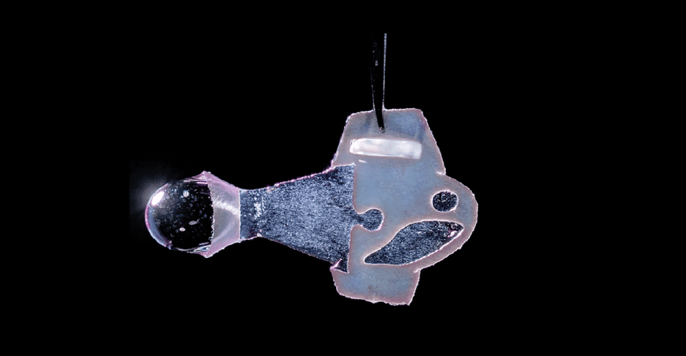 peixe-robo.png