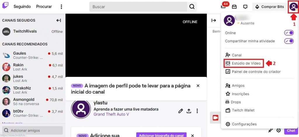 Como fazer live na Twitch com OBS