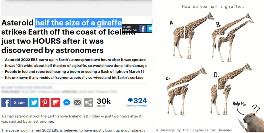 Asteroide sendo comparado a metade do tamanho de uma girafa e meme gerado em função disso