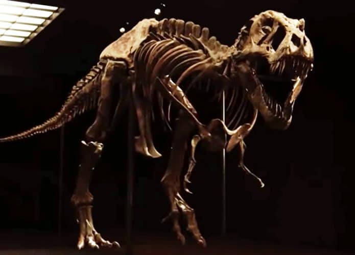 T-rex-Stan-destaque-695x500