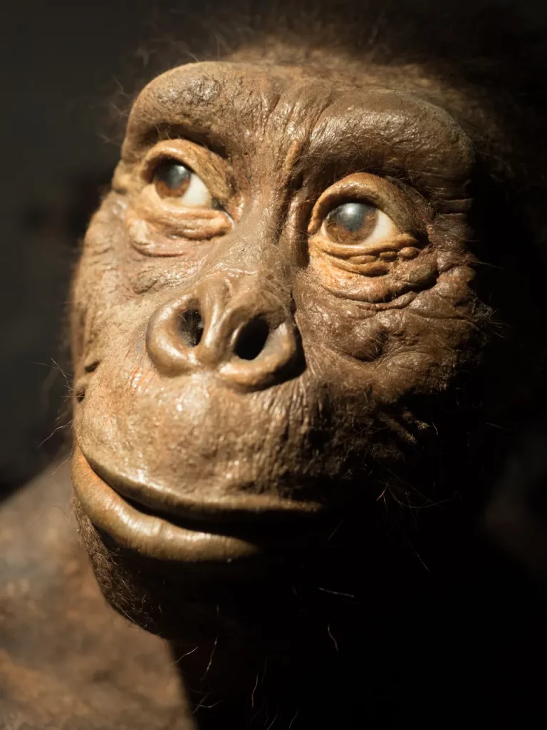 Reconstrução da hominídea Lucy