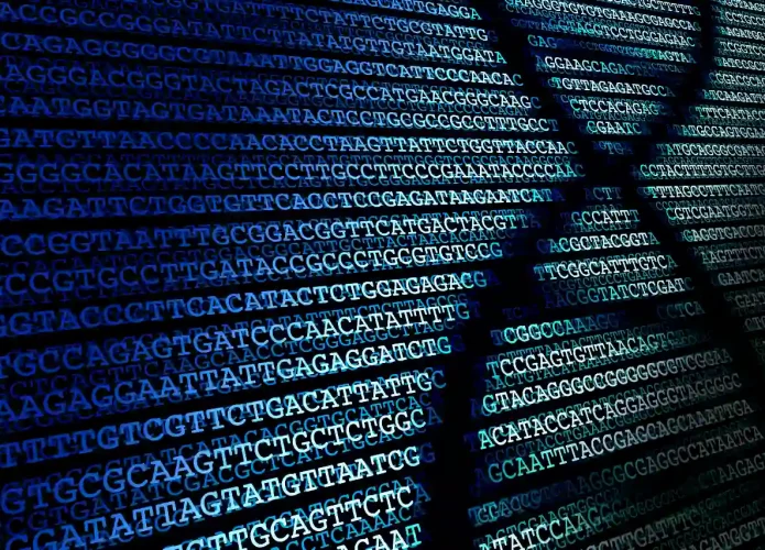 DNA e RNA são compostos de cinco nucleobases: adenina, guanina, citosina, timina e uracila