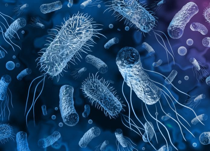 shutterstock_1805281906-695x500