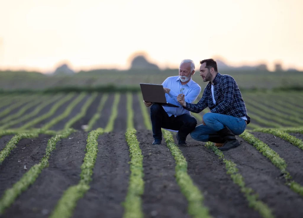 Tecnologia no agronegócio influencia produtividade no campo