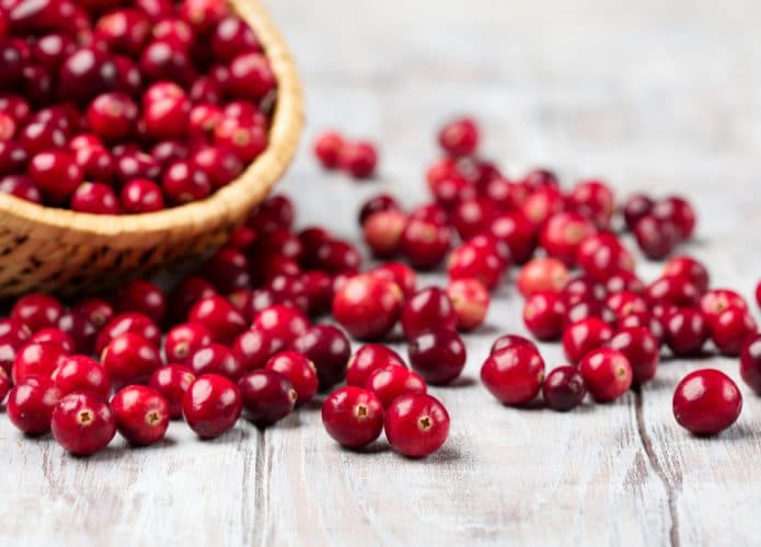 Colher cranberries vermelhos frescos em cesta de vime