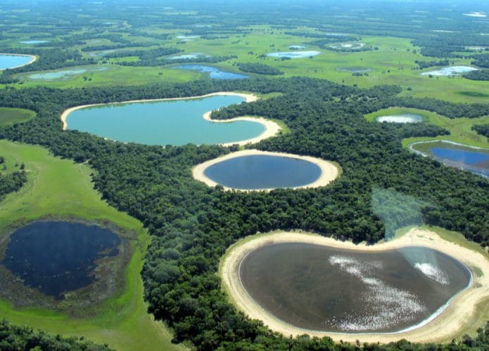 Pantanal-695x500