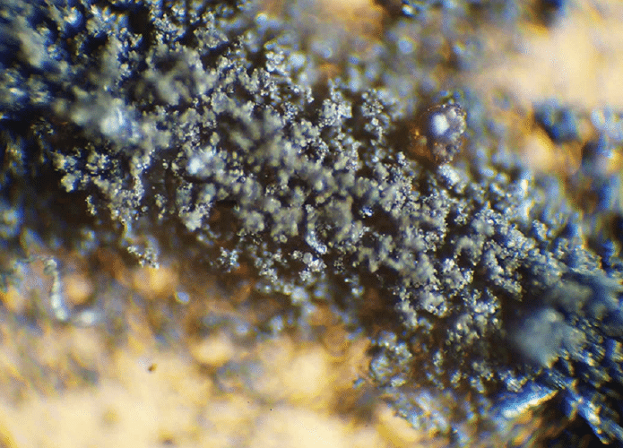 amostra-lunar-apollo-11-695x500.png