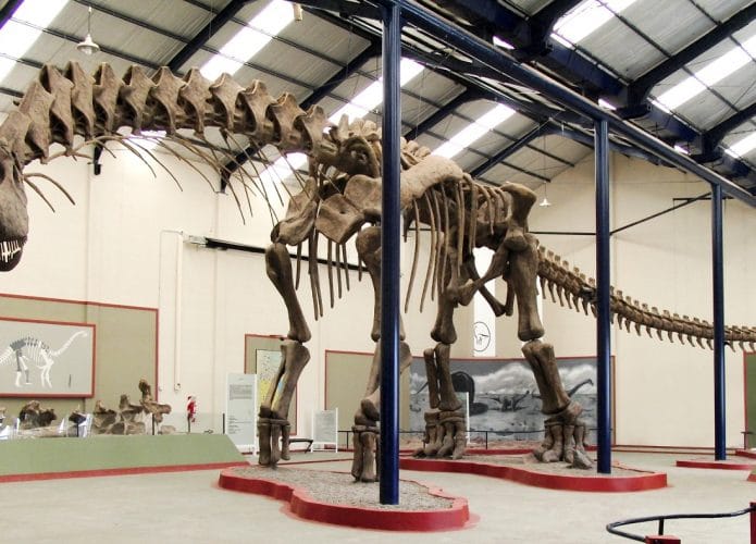 Dinossauros saurópodes