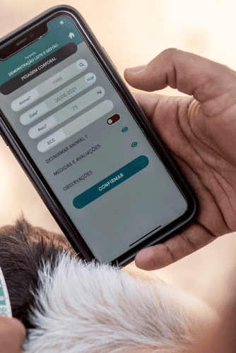 startup Rúmina agronegócio