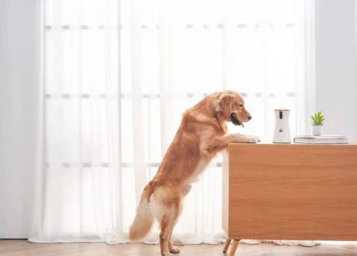 Câmera para pets Furbo 360º