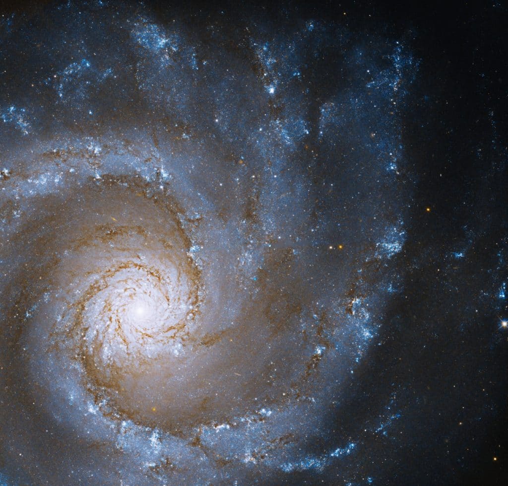 A galáxia NGC 3631, disposta em espiral, tem muitas partes contendo material de formação de estrelas